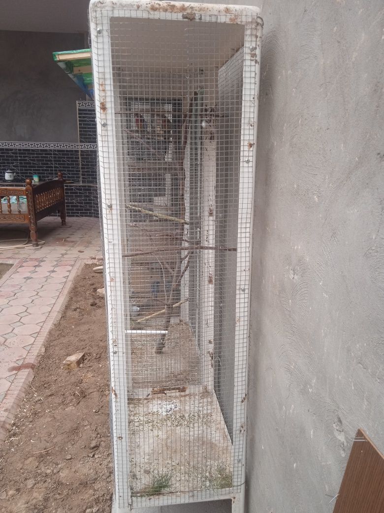 Qushlar qafas sotladi
