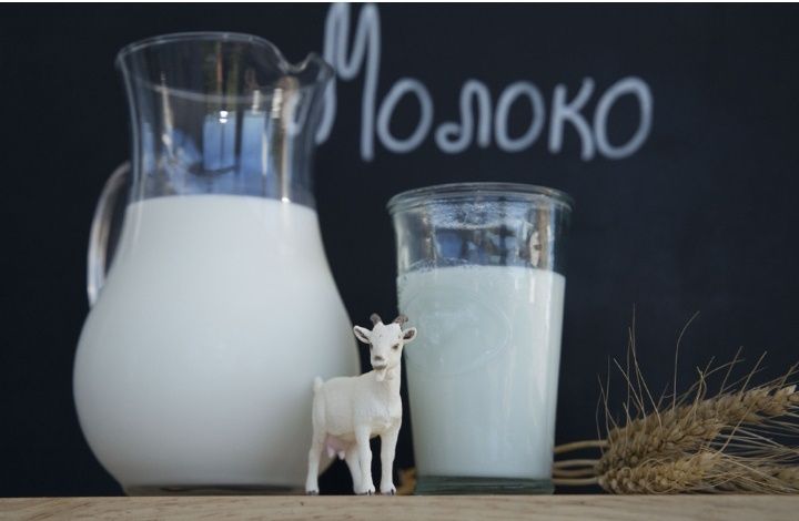 Продается Козье молоко