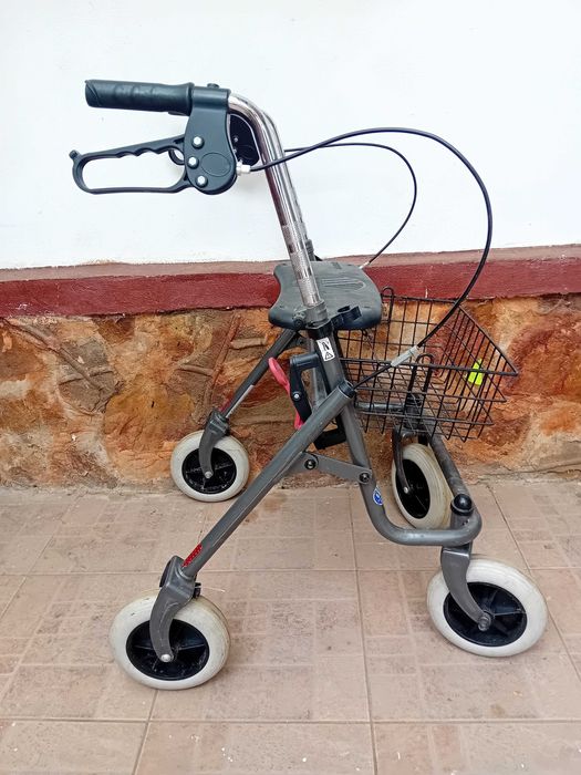 Cadru de mers pe roti.+.cos.2