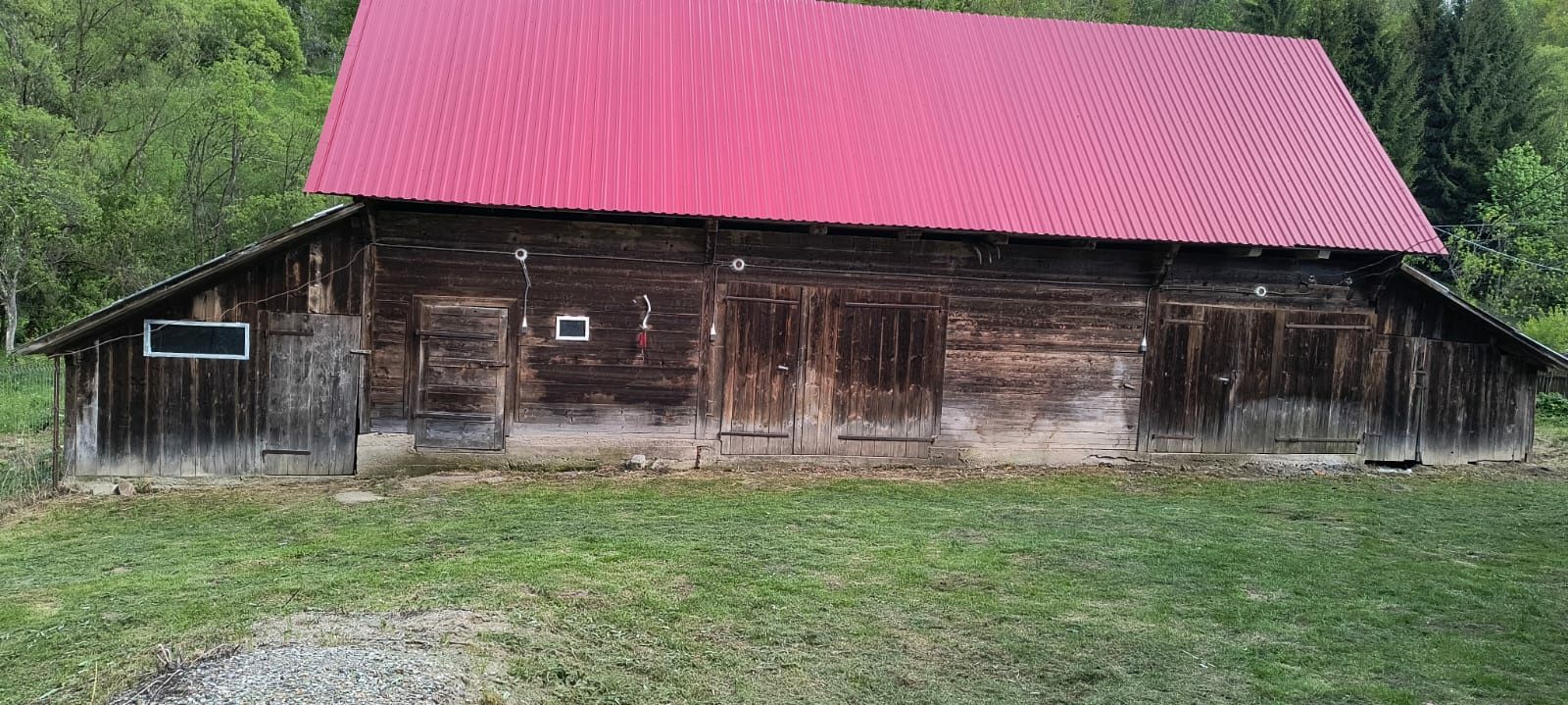 Vând casa, padure, teren, comuna Avram Iancu, județul Alba