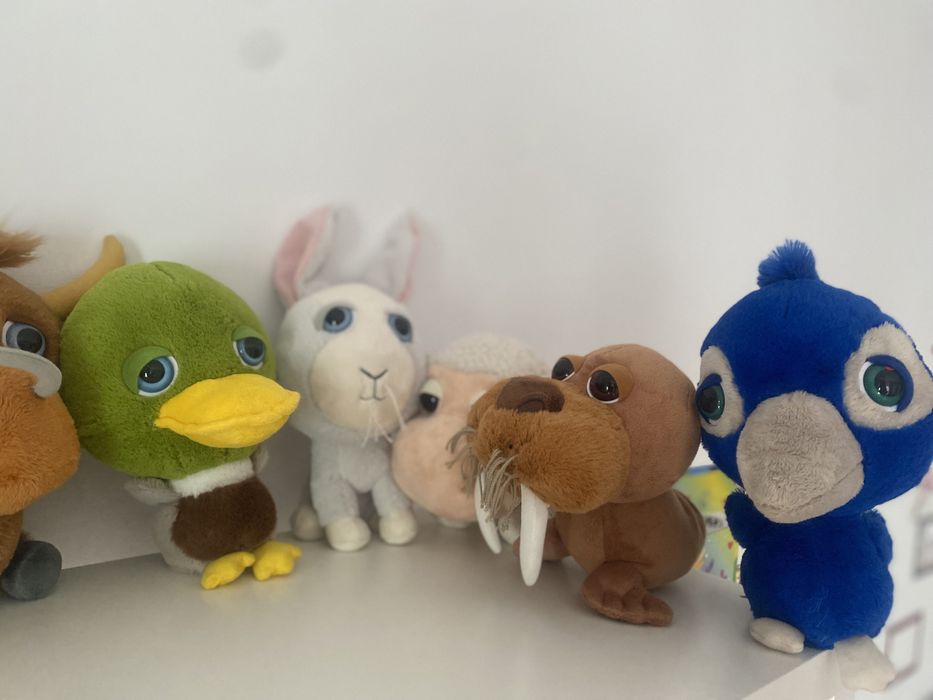 Plusuri colectie PETROM