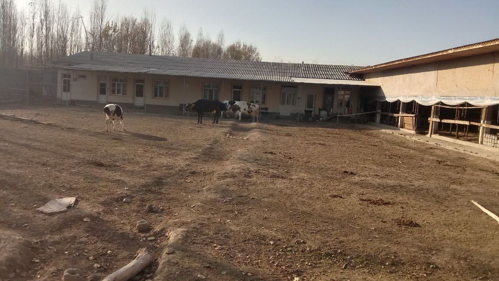 Uchastka, ferma sotiladi