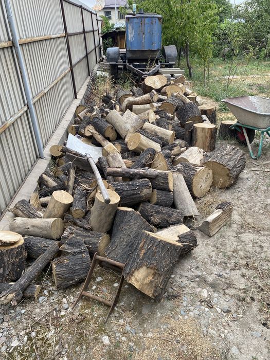 дрова карагач баня/шашлык