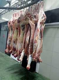 Мясо говядины на кости первая категория шоковая заморозка