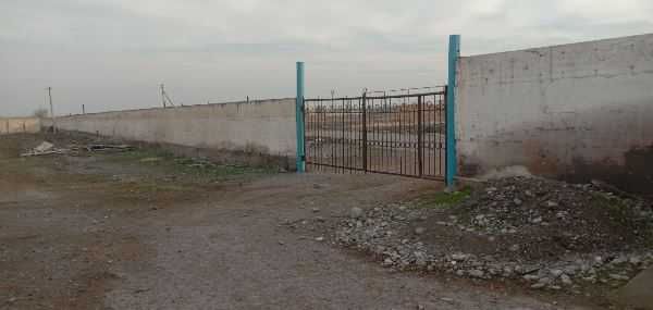 Sardor Farm Kelajagi Fermer xo`jaligi