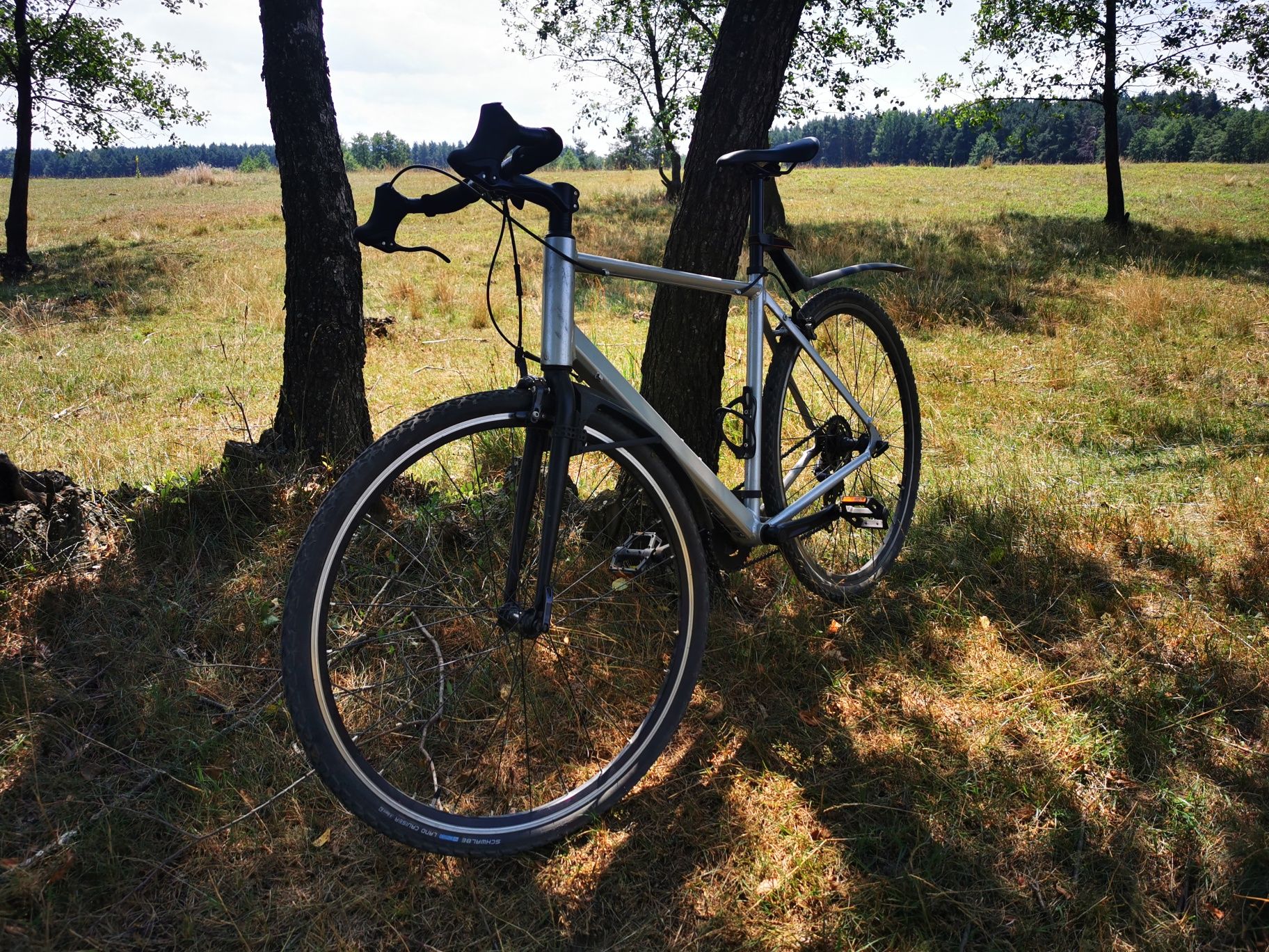 Vand bicicleta Triban 100 stare f buna, marime L.