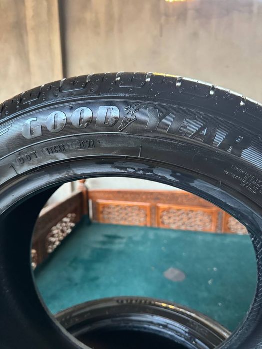 Trekker balon zavtskoy