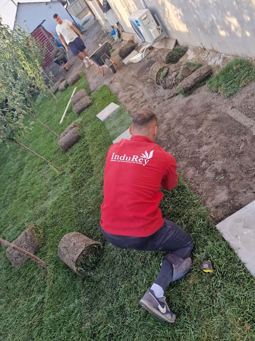 Gazon natural rulouri sau semințe