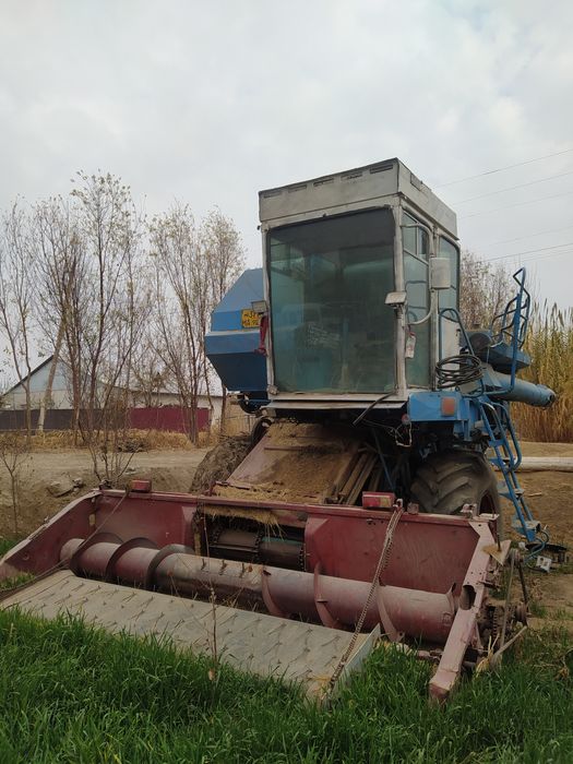 kanbayin 1200 sotiladi