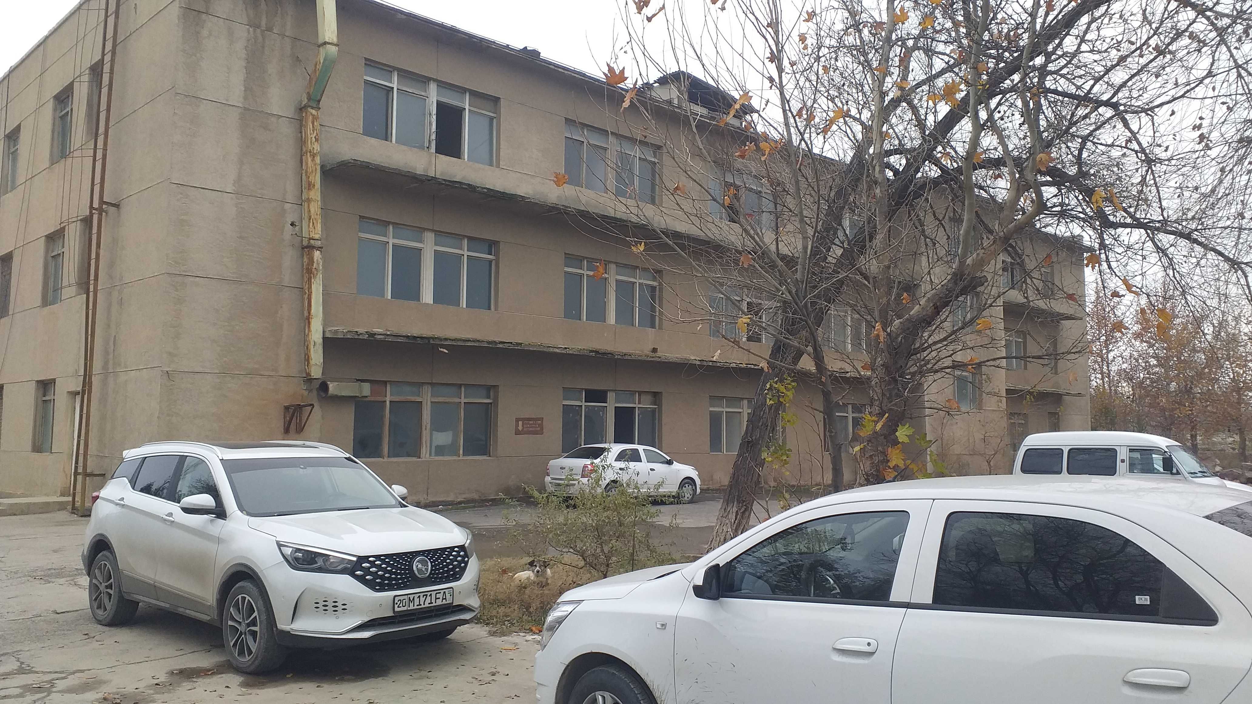 Shirin shahrida idora binosi bolib tolash sharti bilan sotiladi
