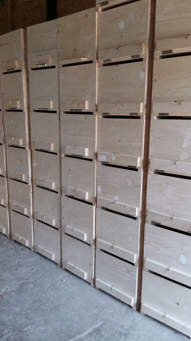 Stupi verticali,orizontali,roinite,nucleu de împerechere. alimentator.