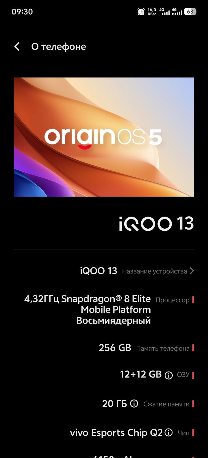 Vivo iqoo 13 12/256