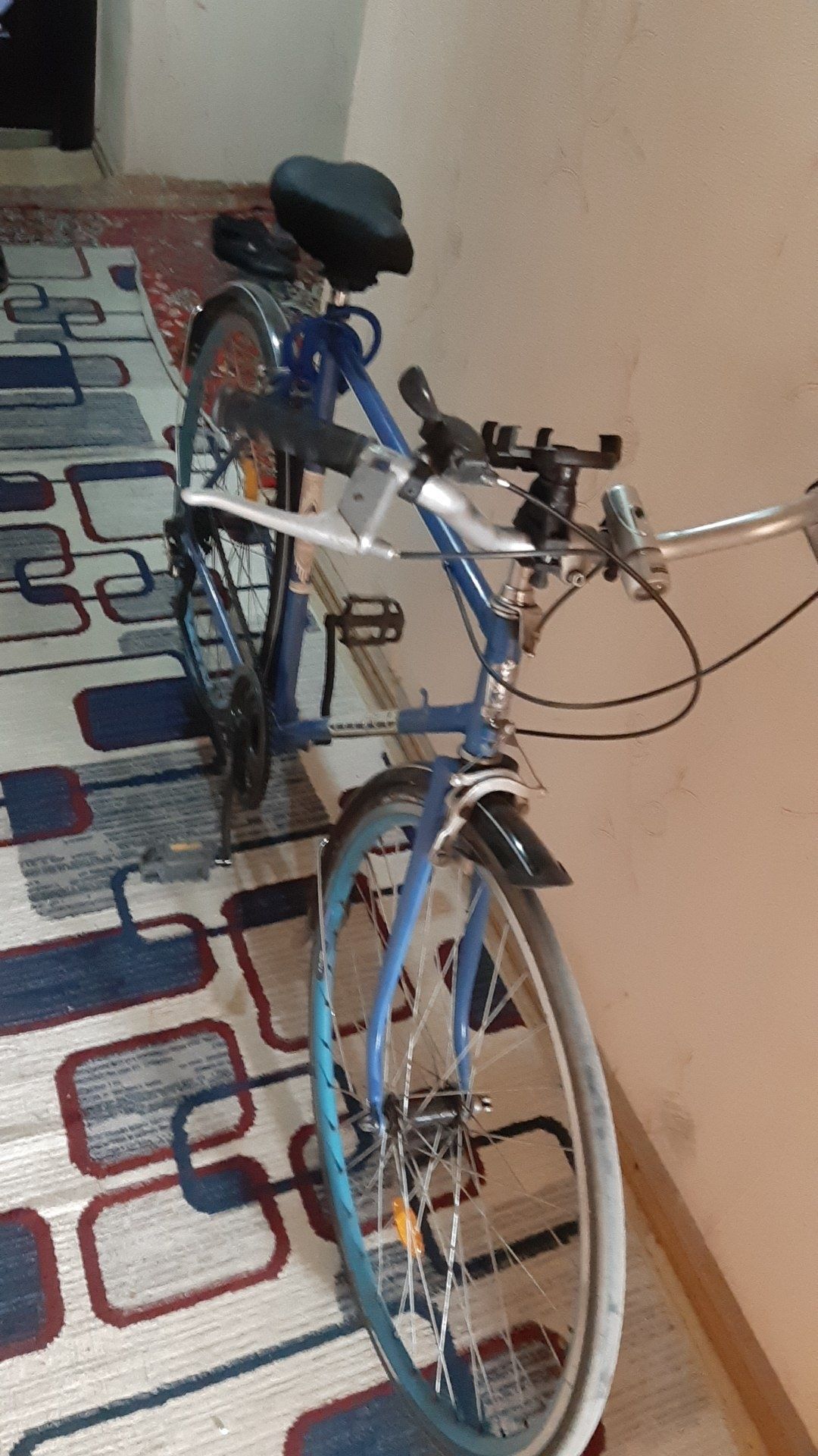 Velik srochna sotiladi