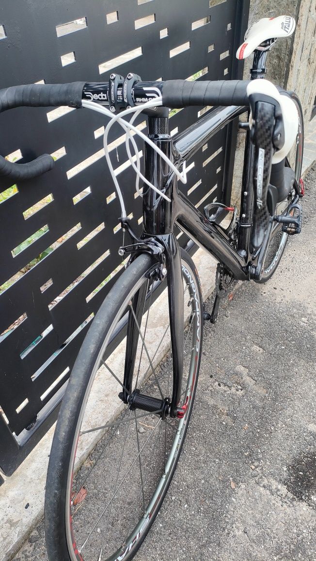 Cursiera CARBON Compagnolo(xt,ultegra)