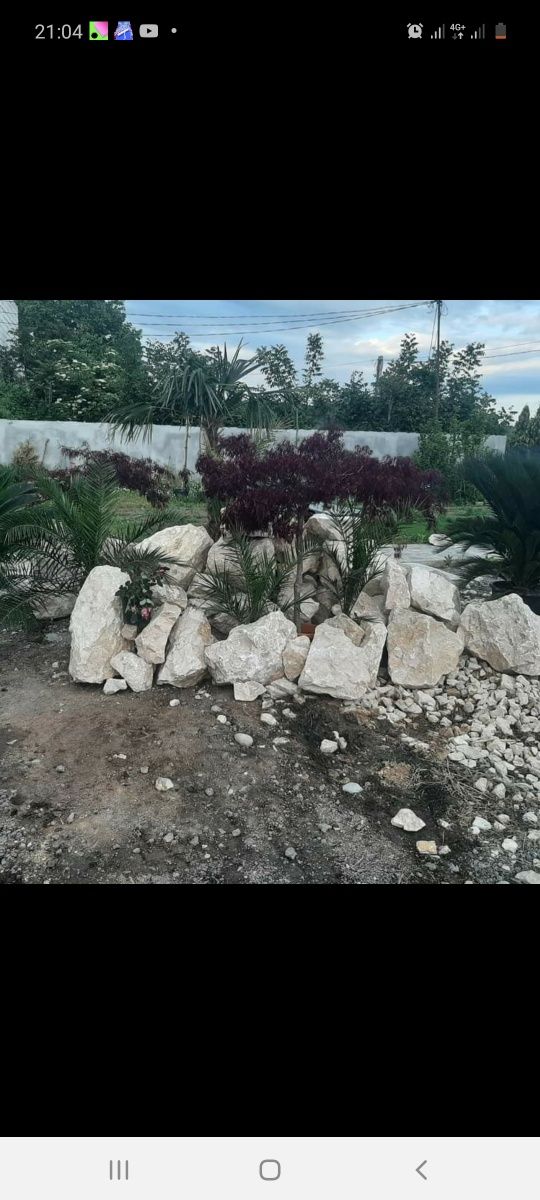 Piatră naturală , plante ornamentale