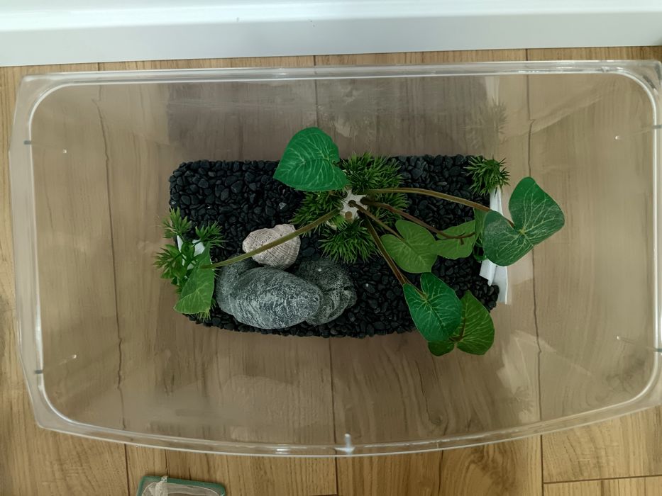 Acvariu cu accesorii incluse-capacitate 6L