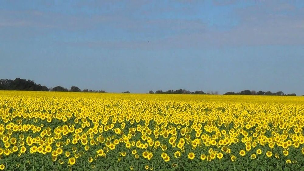 Продам землю на селекционном в сторону поселка джамбул