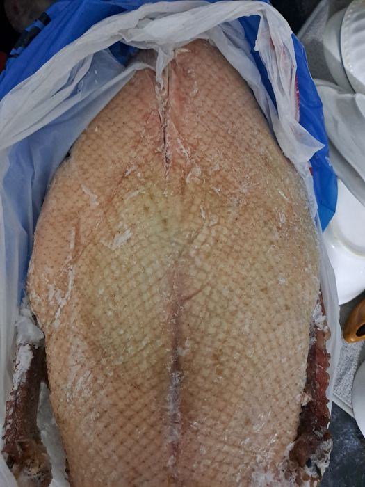 Продам домашних  гусей