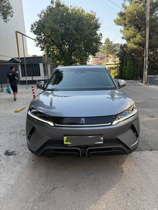 Yuan up 2024 full pozitsiya