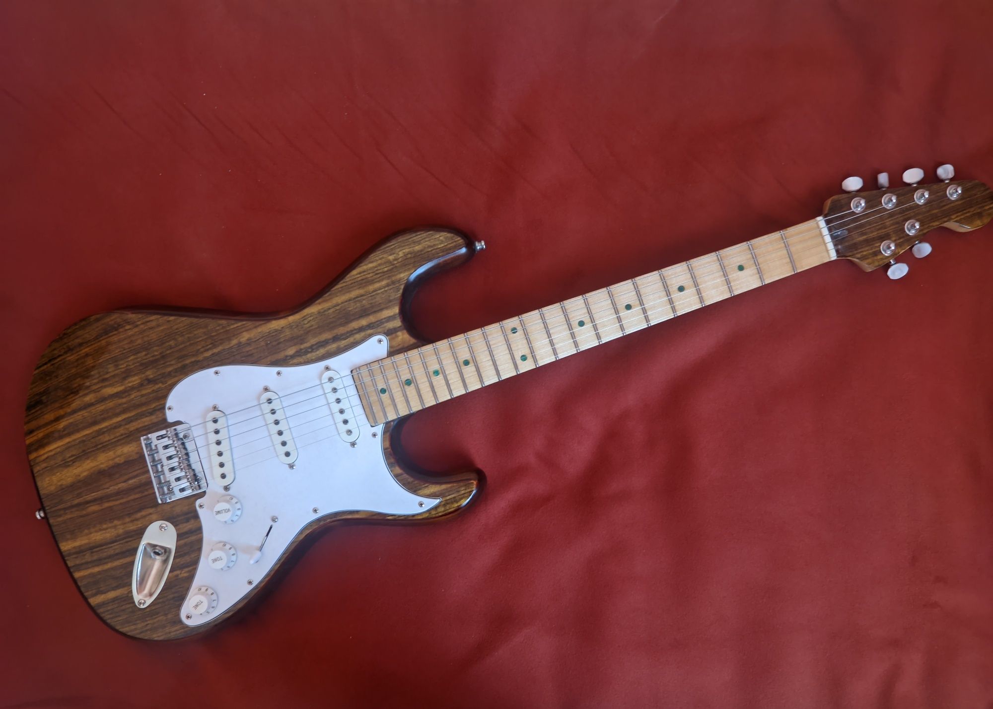 Chitara  electrica custom made