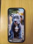 iPhone 14 pro 256