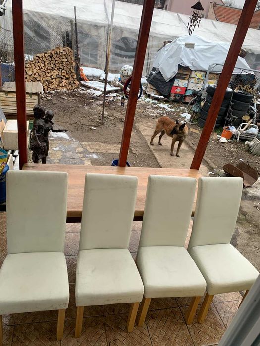 Masa cu blat din lemn masiv cu patru scaune inbracate in piele alba