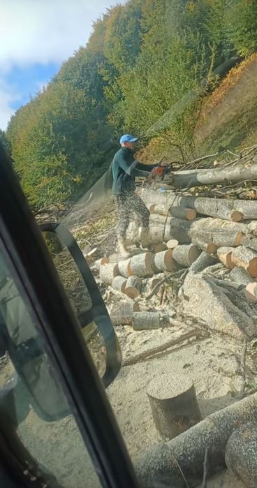 Tai lemne,crap lemne