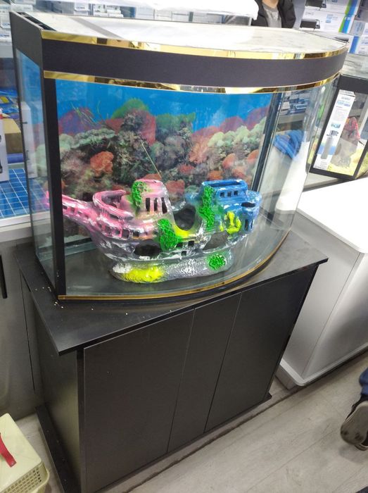. Аквариум разные