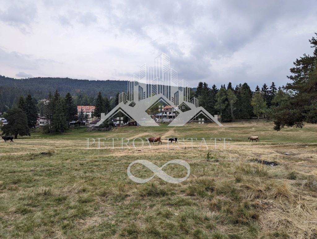 Парцел в Пазарджик, област-с.Юндола площ 817
