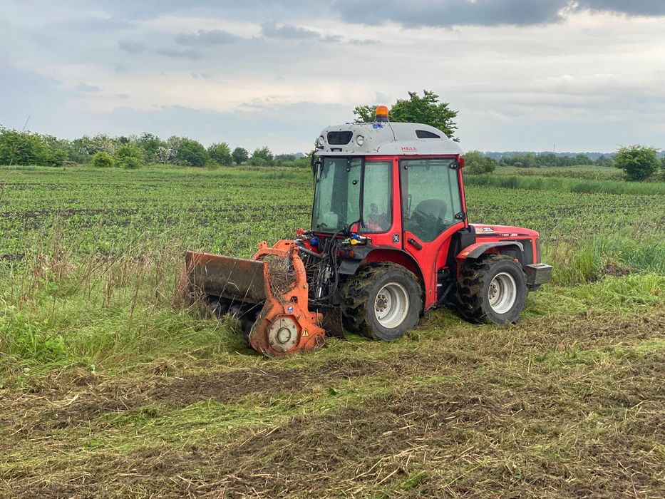 Curatare si defrisare teren de vegetatie nedorita