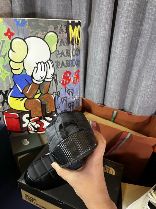 TheNorthFace Зимние