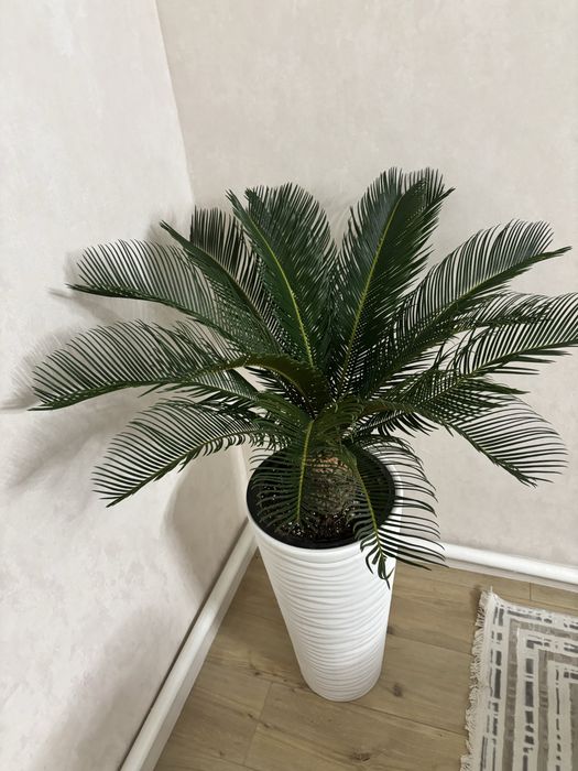 Полдам большой цветок дляидлма и офиса