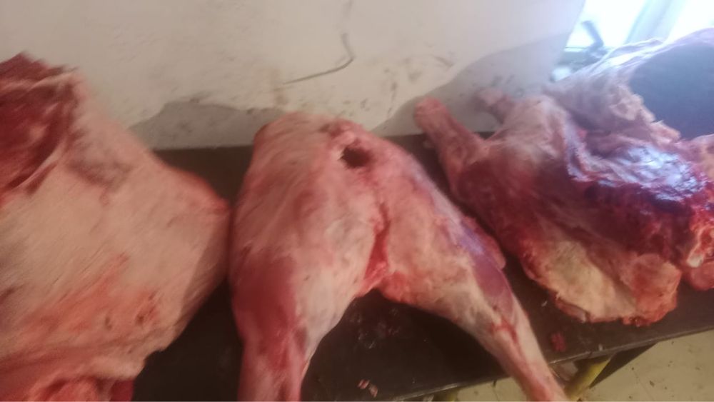 Тайынша еті, говядина, сиыр еті, говяжье мясо,соғым