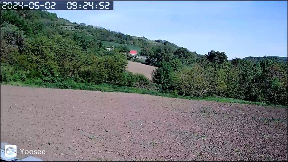 Vand miere 100% naturala 2024