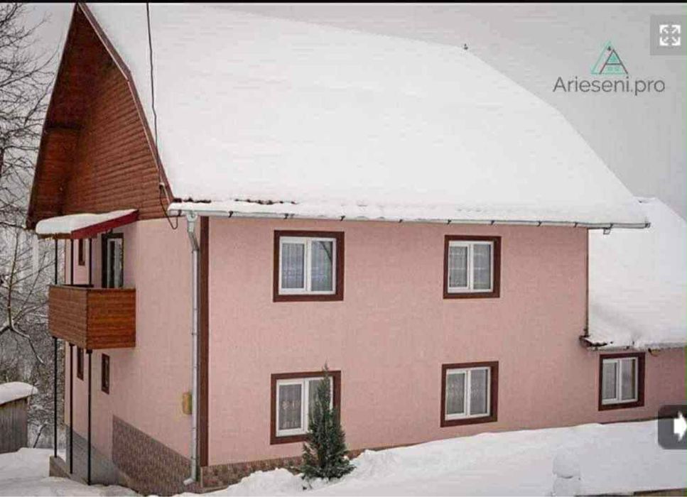 Cabana Daria Cosmina Arieseni