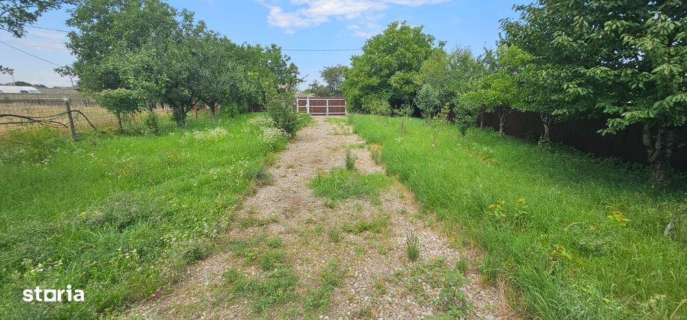 Vanzare teren intravilan, 1500 mp, Tarlungeni central.