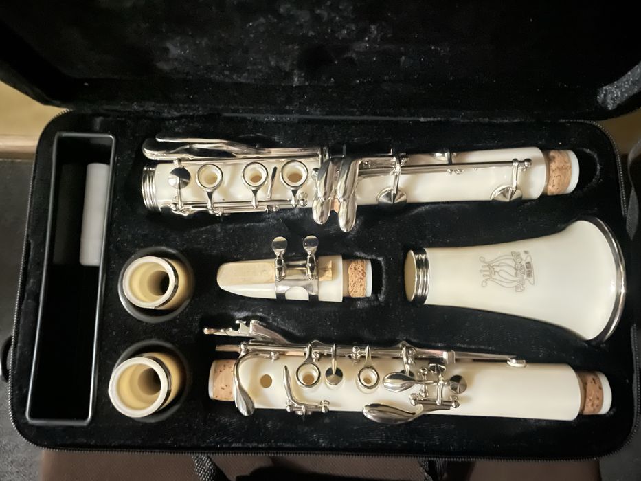 Clarinet Parrot complet – stare excelentă, 600 lei negociabil