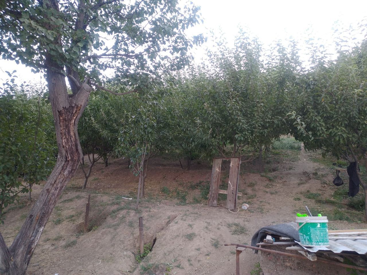 Продаётся дача в городе Ангрен посёлок Янгиабад