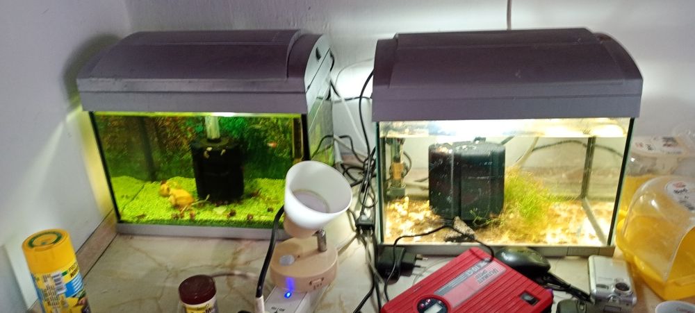 Ambele acvarii de 20 l cu tot ce se vede