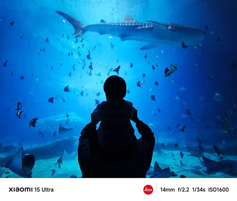 Xiaomi 15 Ultra 16GB/512GB