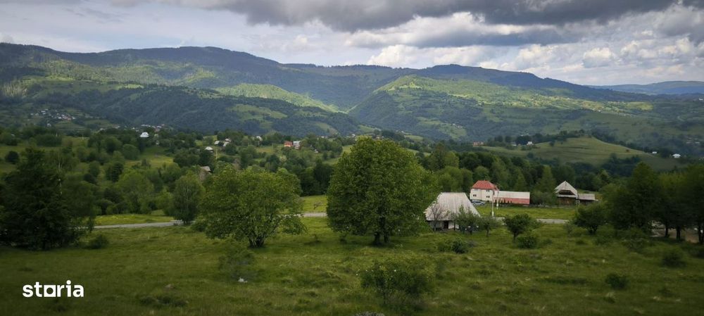 Teren Rogojel 15.000MP 8 EURO/MP