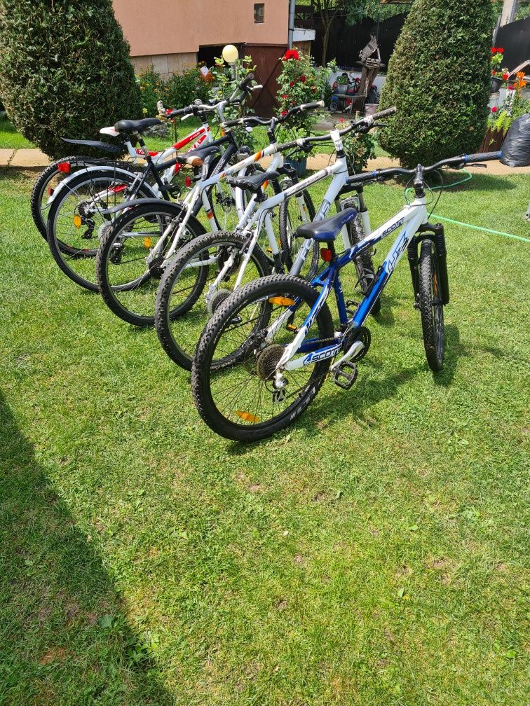 Biciclete De Vânzare