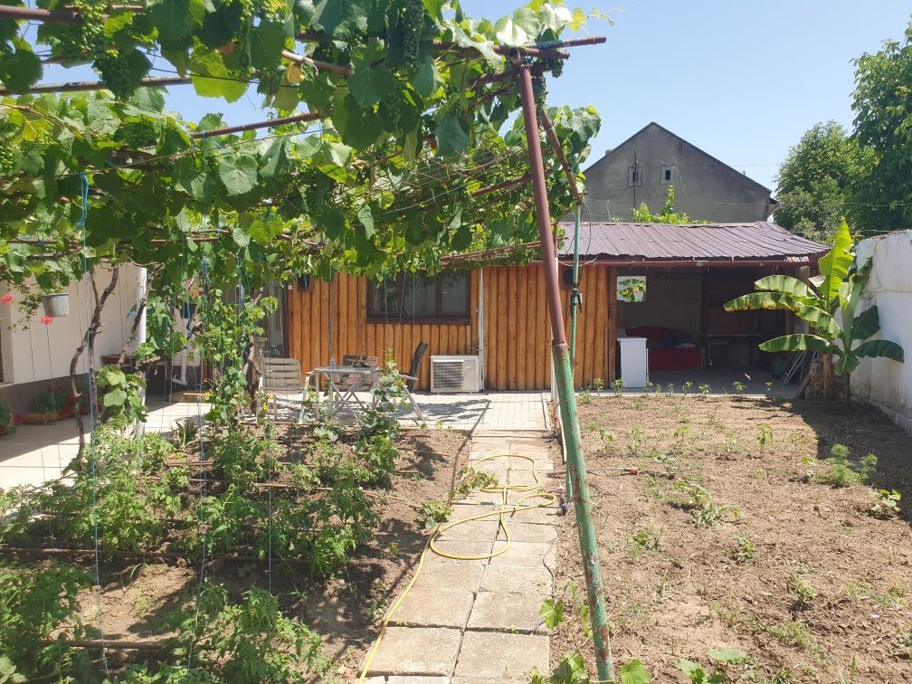 Inchiriez casa Aradul Nou