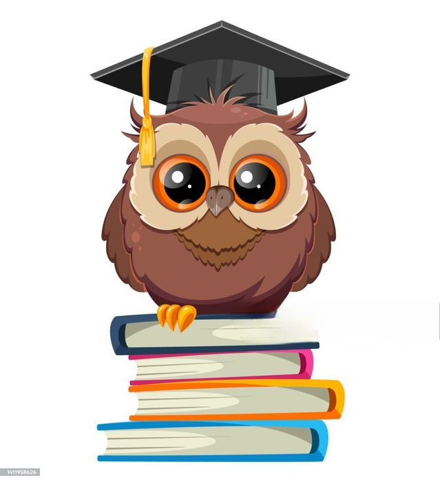 Meditații individuale română, engleză sau matematică