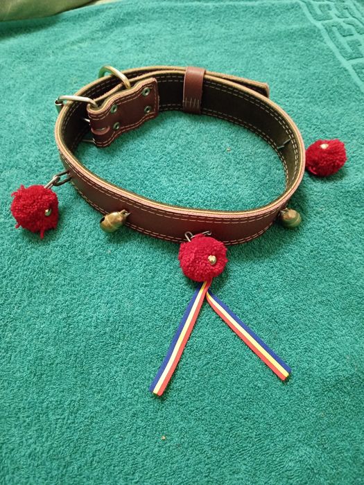 Zgarda din piele câine talie mare