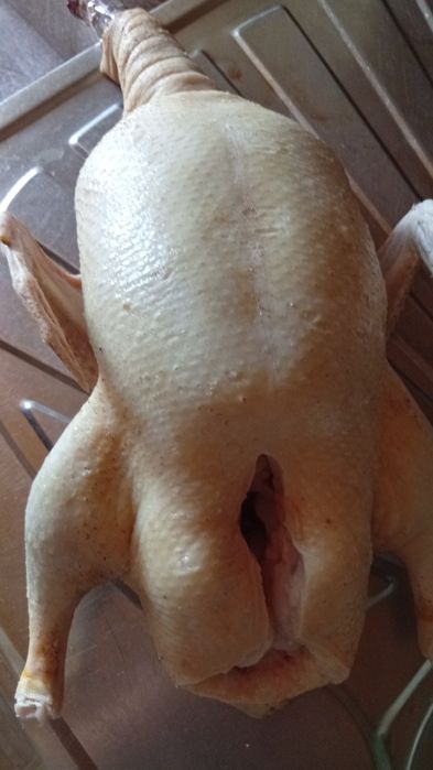 Уткабролер 3000 тенге