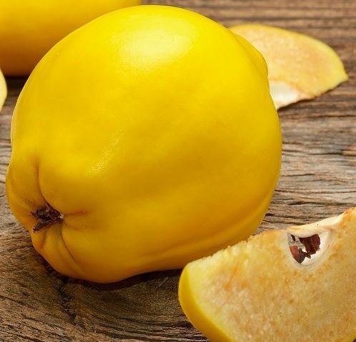 Vând puieți de gutui altoiți soi mare