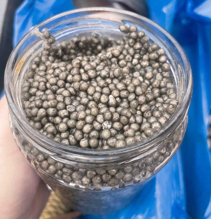 Icre negre si icre rosii- delicatese