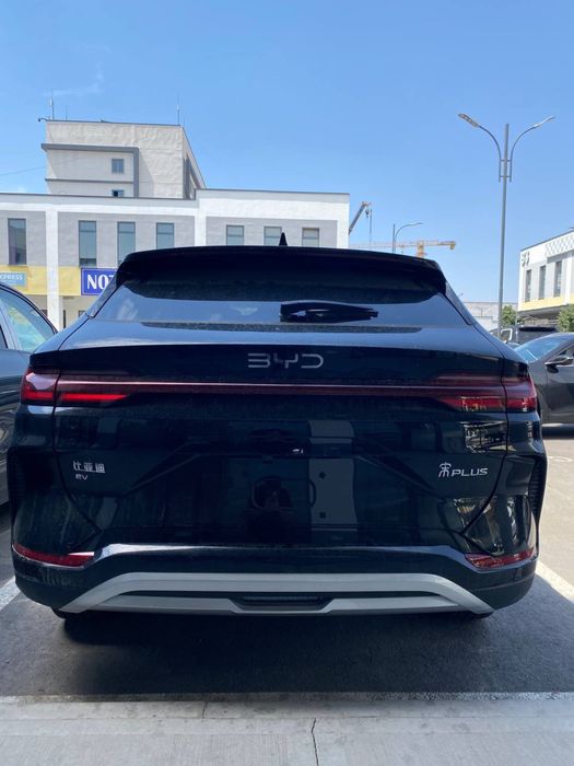 Byd champion smart 2026