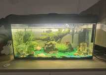 Vand acvariu 60L